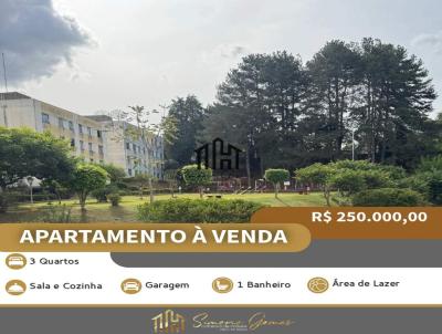 Apartamento para Venda, em Tel�maco Borba, bairro Centro, 3 dormit�rios, 1 banheiro, 1 vaga
