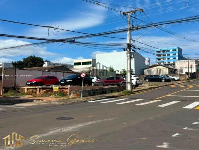 imagem-miniatura